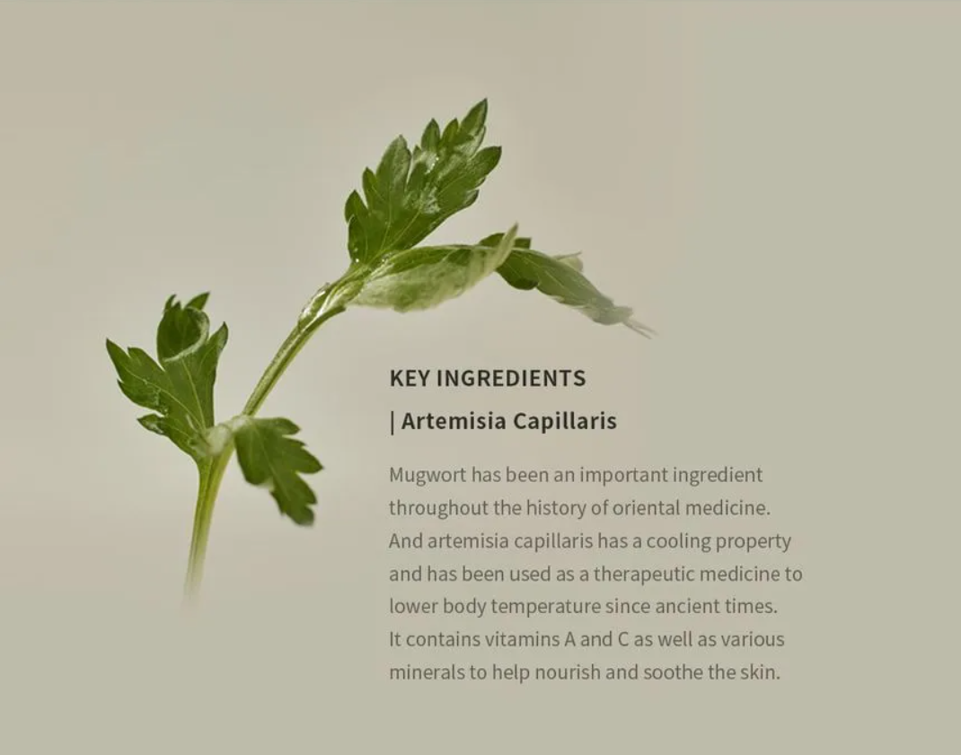 Beauty of Joseon Matte Sun Stick β Mugwort + Camellia (18g / 0.63 fl. oz.)