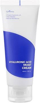 Isntree Hyaluronic Acid Moist Cream 100 ML