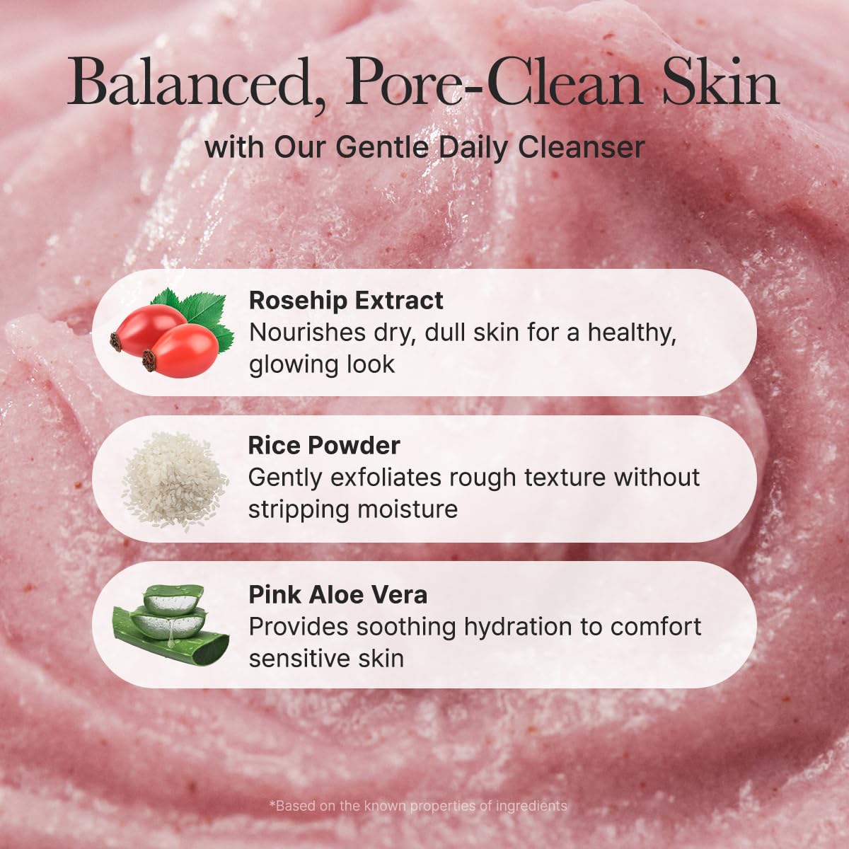 Arencia Rosehip Brightening Rice Mochi Face Cleanser & Daily Scrub (4.23oz)